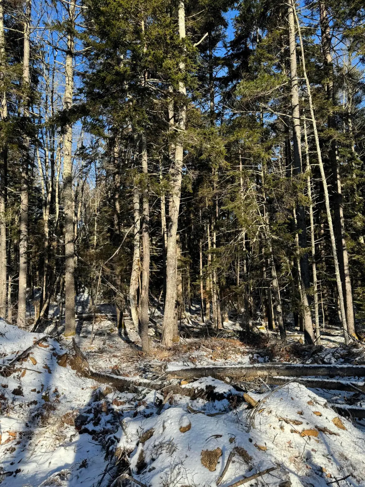 Map 004 Lot 089-03, Pemaquid, ME 04558 - Image #1