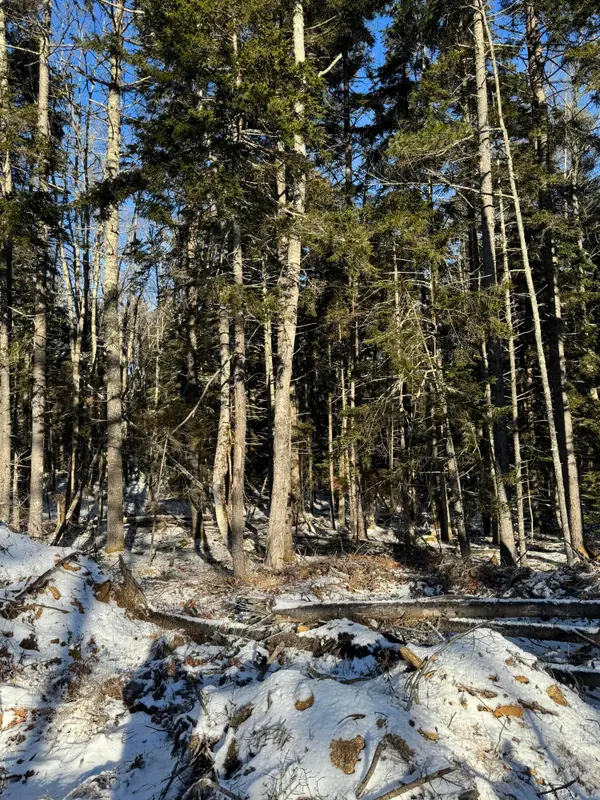 Map 004 Lot 089-03, Bristol, ME 04558