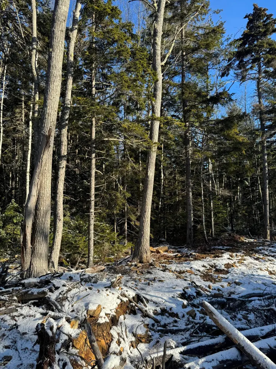 Map 004 Lot 089-03, Pemaquid, ME 04558 - Image #2