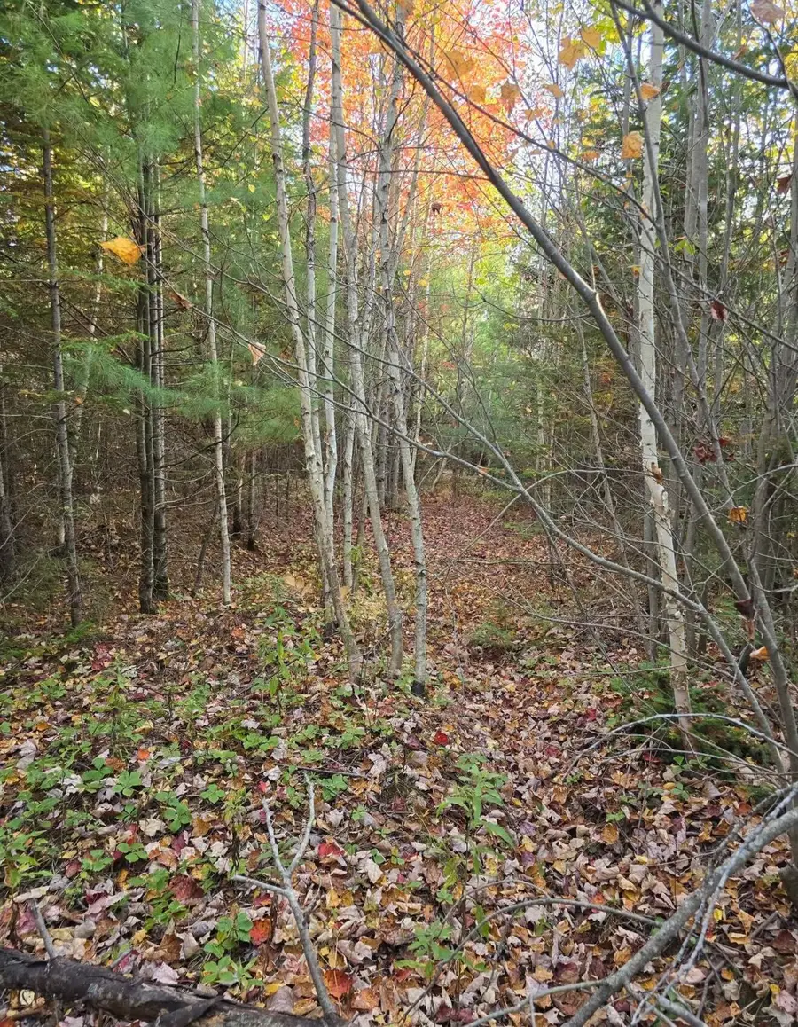 46-S-5-G G.h Lord Road, Detroit, ME 04929 - Image #3