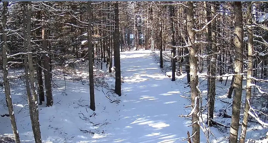 774 Spruce Head Road, Saint George, ME 04858 - Image #3