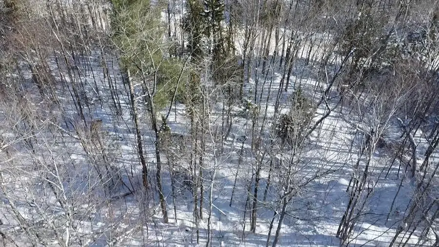 Lot 7 Curtis Farm Road, Lincoln, ME 04457 - Image #3