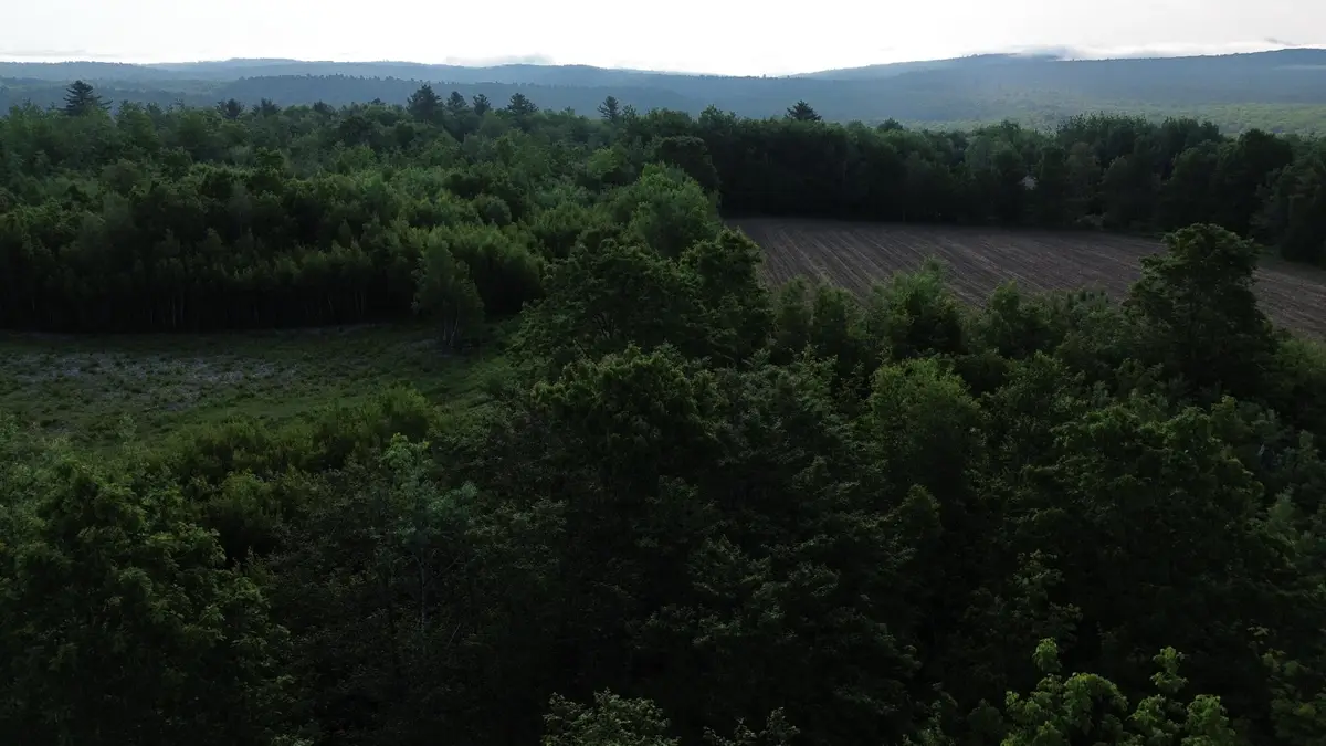 M5L28-5 Moosehead Trail Highway, Jackson, ME 04921 - Image #1