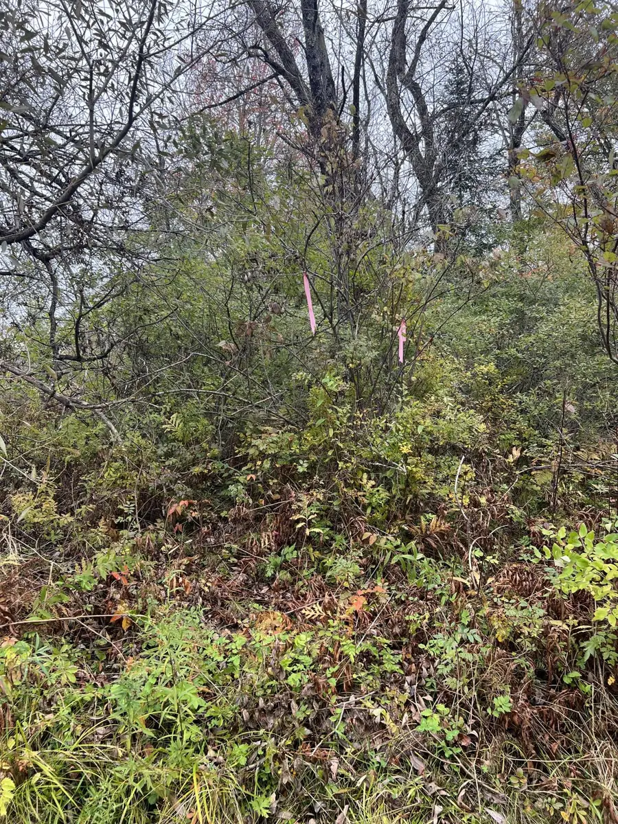 817 Red Bridge Road, Ellsworth, ME 04605 - Image #2