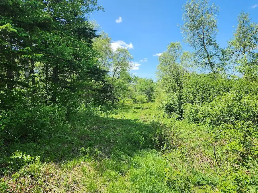 M 7 L 52 Boundary Line Road, Hamlin, ME 04785 - Image #3