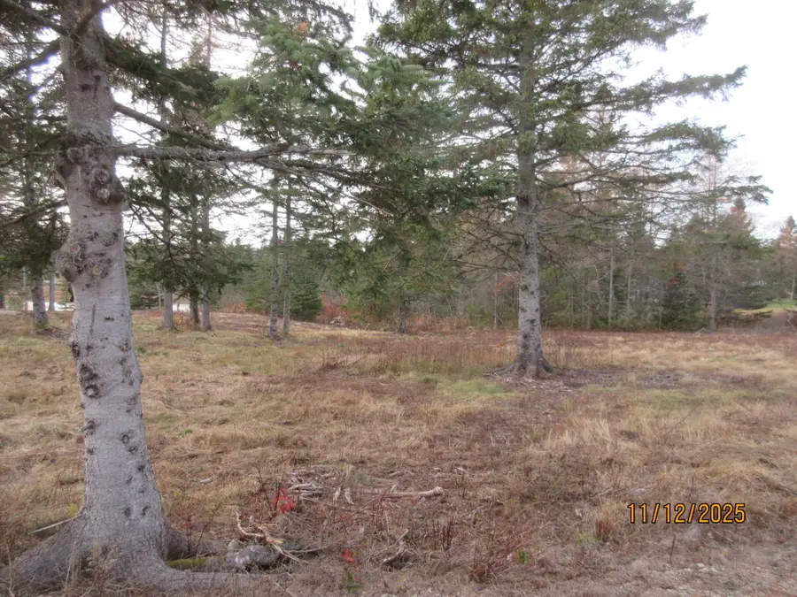 Lot 2 Smalls Point Road, Machiasport, ME 04655 - Image #2