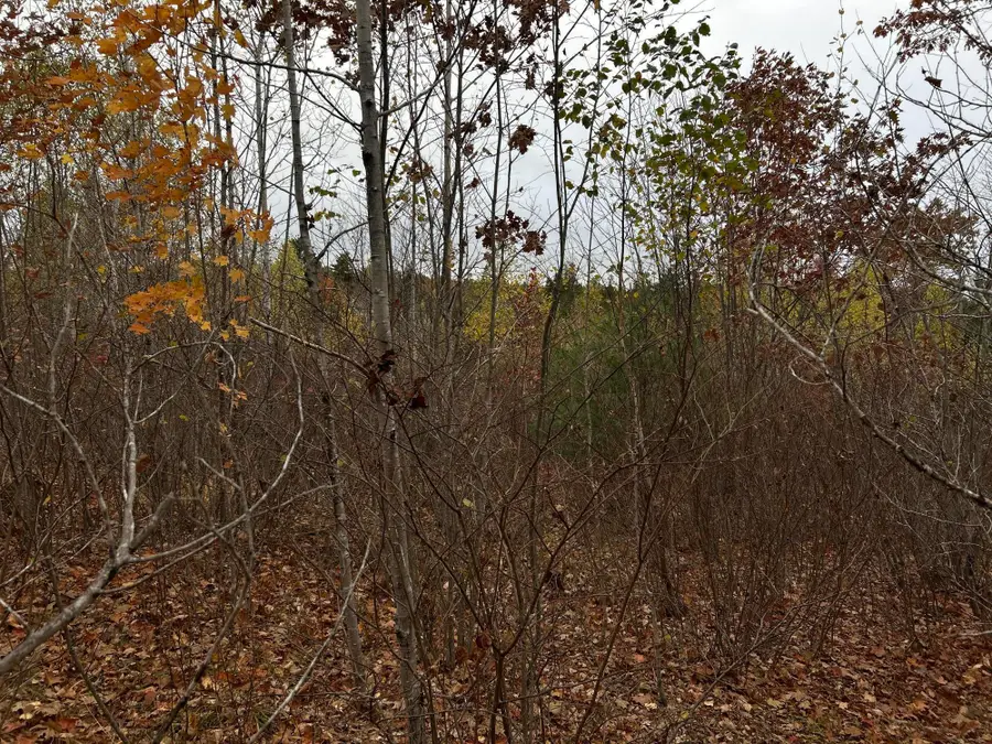 M4L18 Bog Road, Jackson, ME 04921 - #3