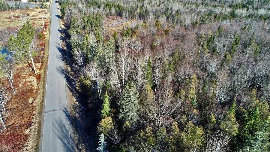 Lot 2-3 Us Rt 2a Road, Linneus, ME 04730 - Image #2
