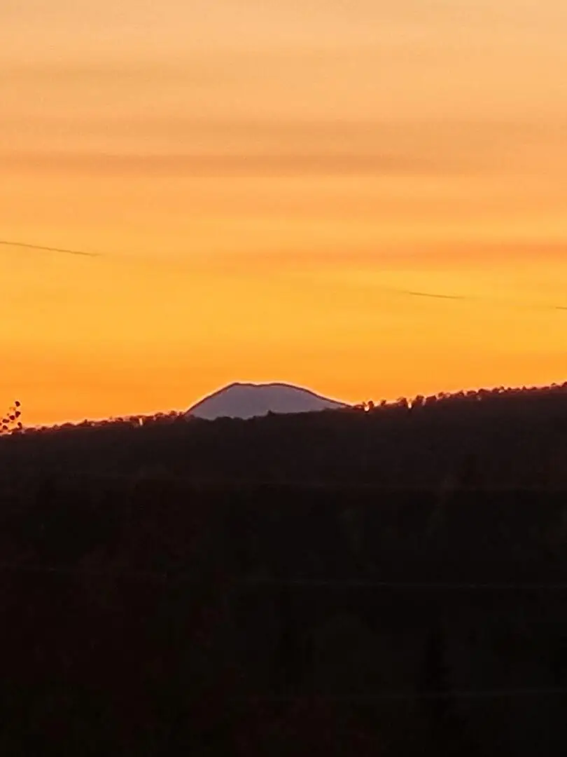 Lot 9 Moose Ridge Road, Oakfield, ME 04763 - Image #2