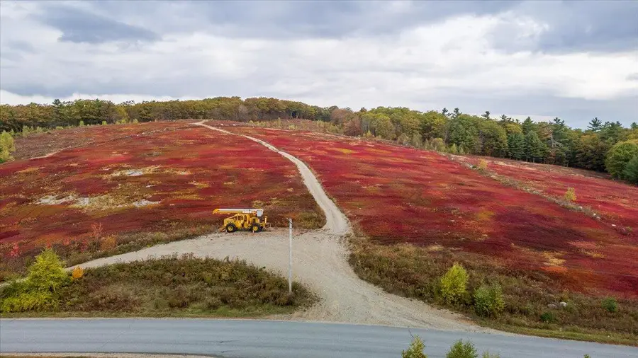 562 Beech Hill Road, Northport, ME 04849 - Image #3