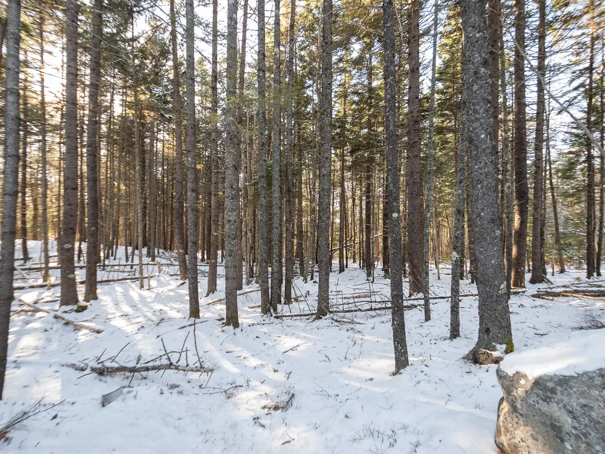 25 Long Pond Road, Southwest Harbor, ME 04679 - Image #1