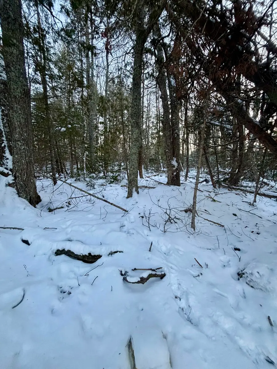 0 Meadow Brook Lane, Orland, ME 04472 - Image #2