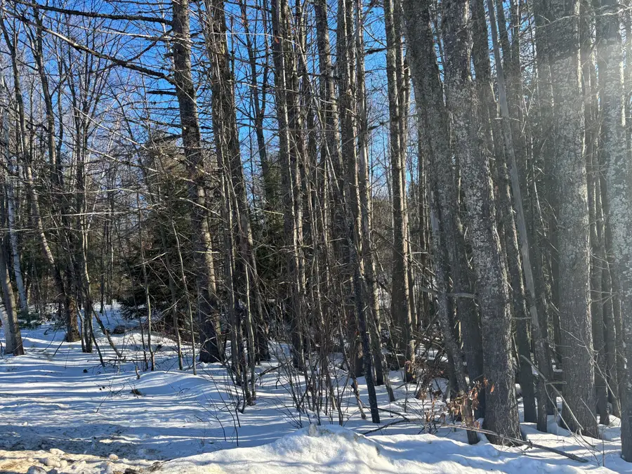 Lot 15-023 Intervale Road, Bethel, ME 04217 - Image #2