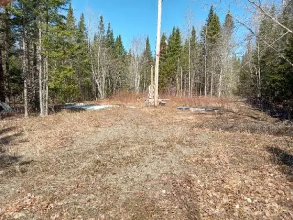Lot 85 Woodland Ridge Road, Danforth, ME 04424