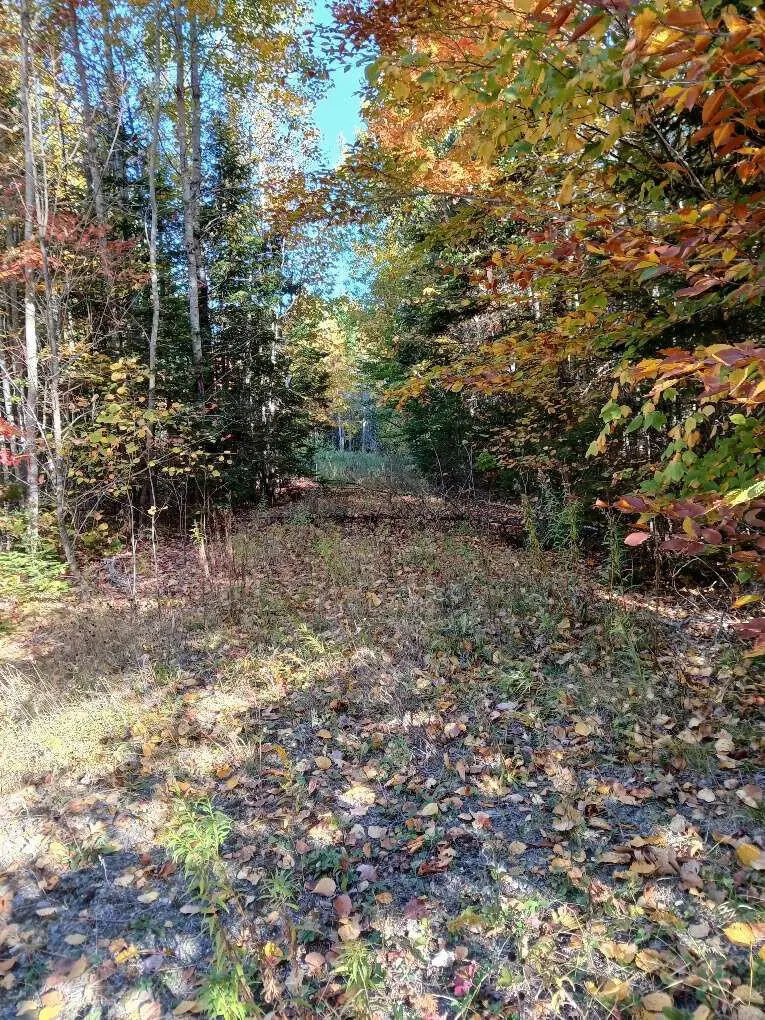 Lot 85 Woodland Ridge Road, Danforth, ME 04424 - Image #3