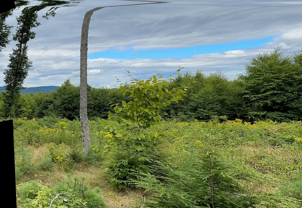 Lot #11 Jordan Heights Road, Cornish, ME 04020 - #1