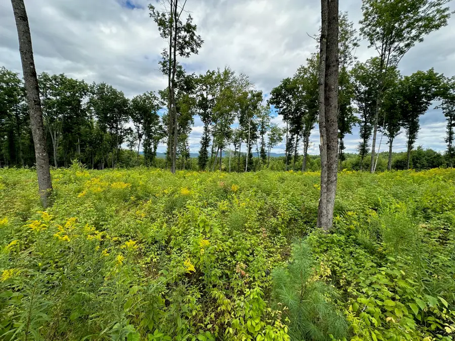 Lot #11 Jordan Heights Road, Cornish, ME 04020 - #3