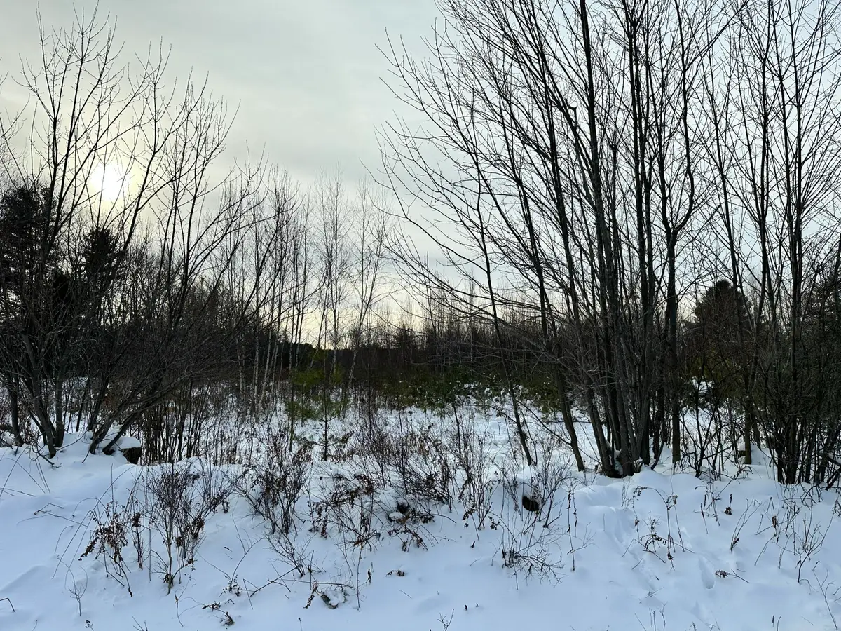 239 Bolsters Mills Road, Harrison, ME 04040 - Image #1