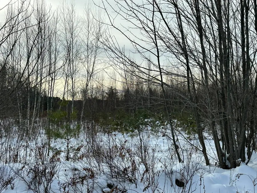 239 Bolsters Mills Road, Harrison, ME 04040 - Image #3