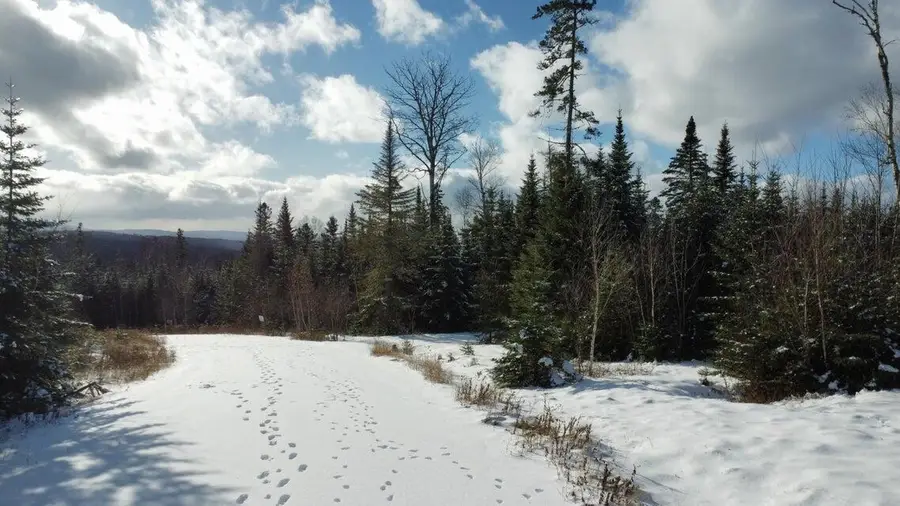 Map 4/31-A Palmer Way, Dallas Plt, ME 04970 - Image #2