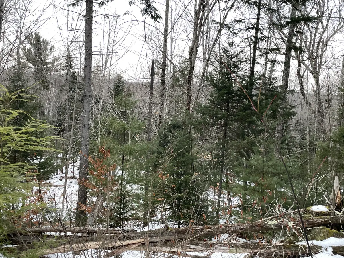LOT# Trafton Road #LOT, Harmony, ME 04942 - Image #1