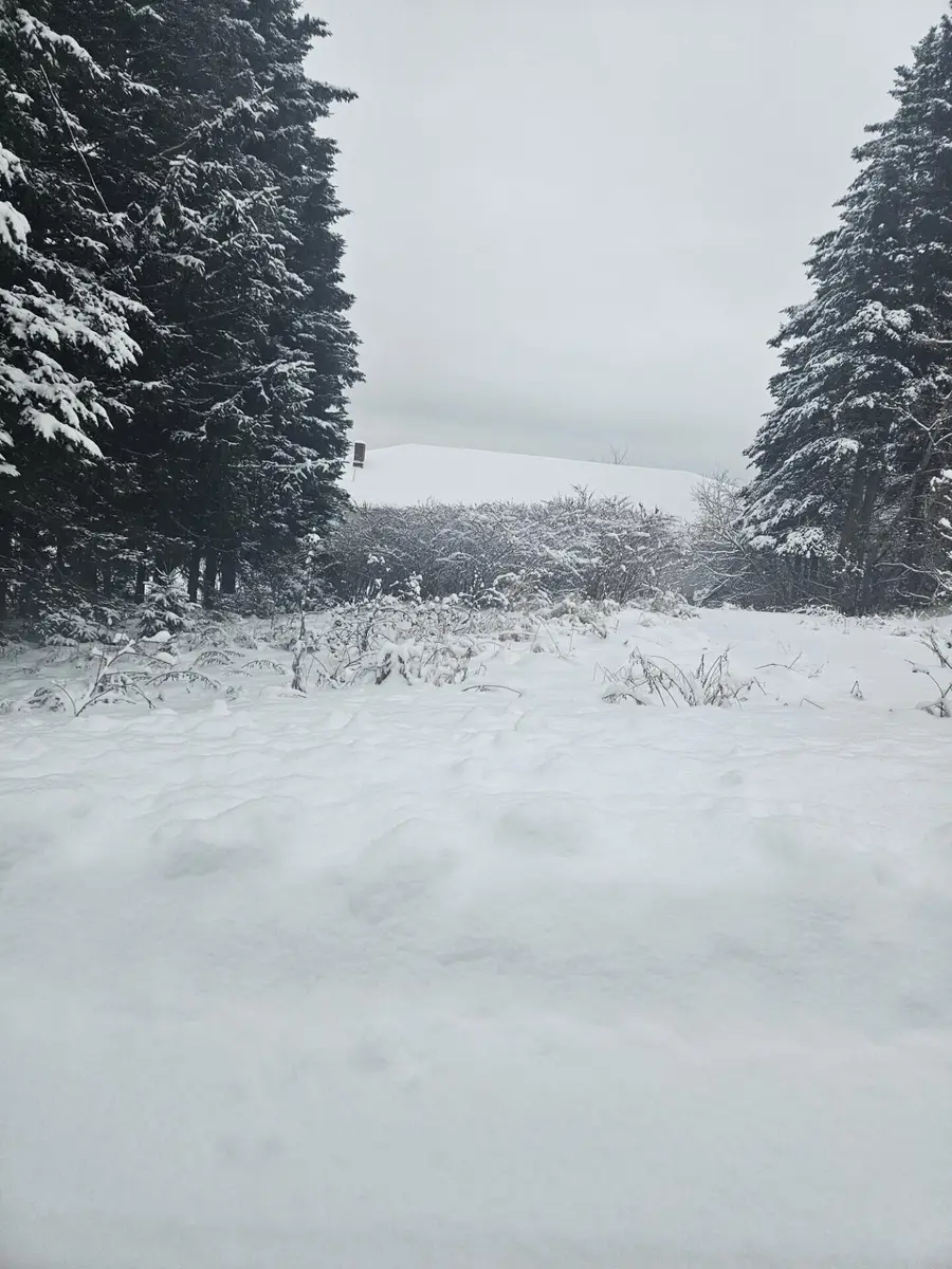 34 High Street, Limestone, ME 04750 - #2