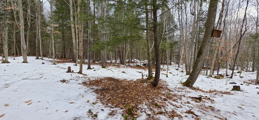 585 Main Street, Sumner, ME 04292 - Image #2