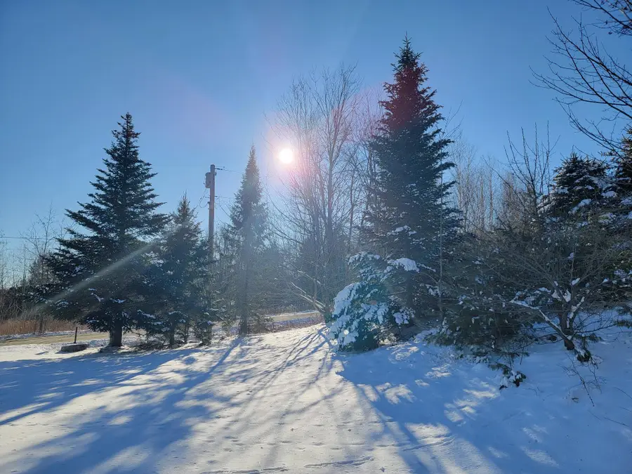 1244 Gary Moore Road, Otis, ME 04605 - Image #2