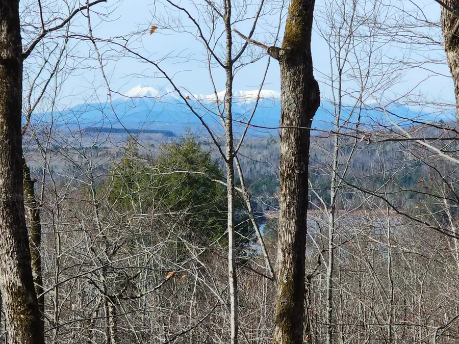 Lot 5 Dow Farm Road, Island Falls, ME 04747 - Image #2