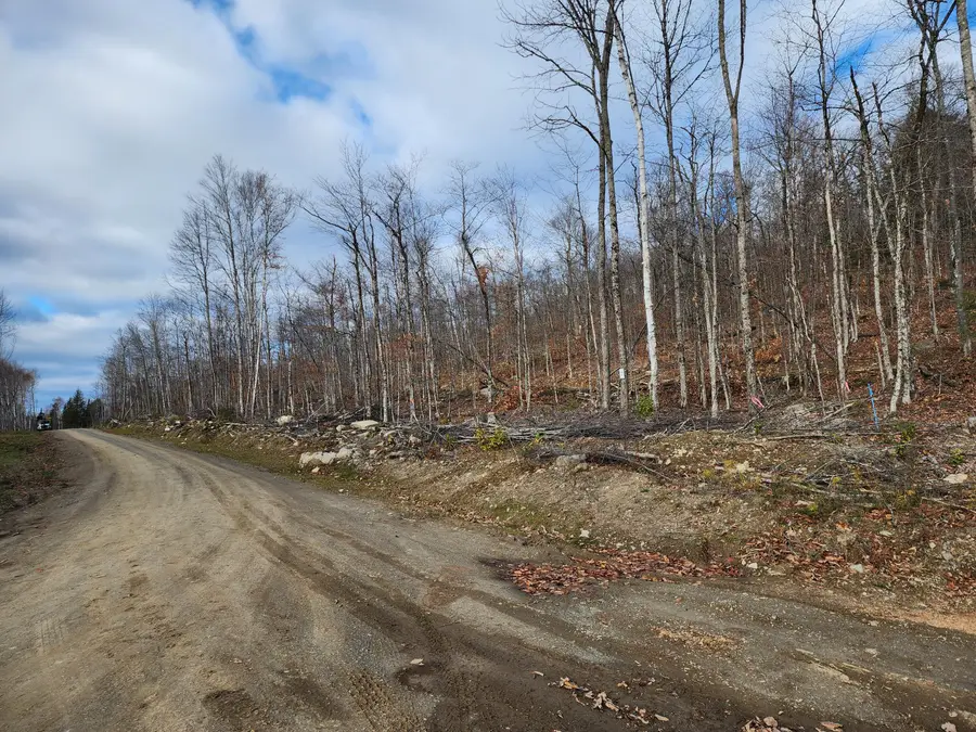 Lot 5 Dow Farm Road, Island Falls, ME 04747 - Image #3