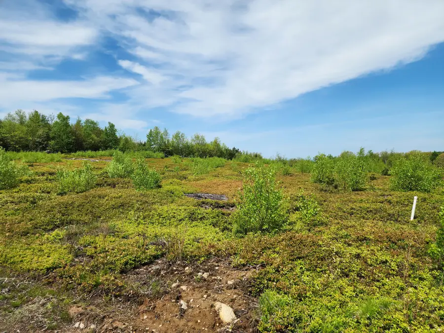 3 Whispering Berries Hill, Liberty, ME 04949 - #2