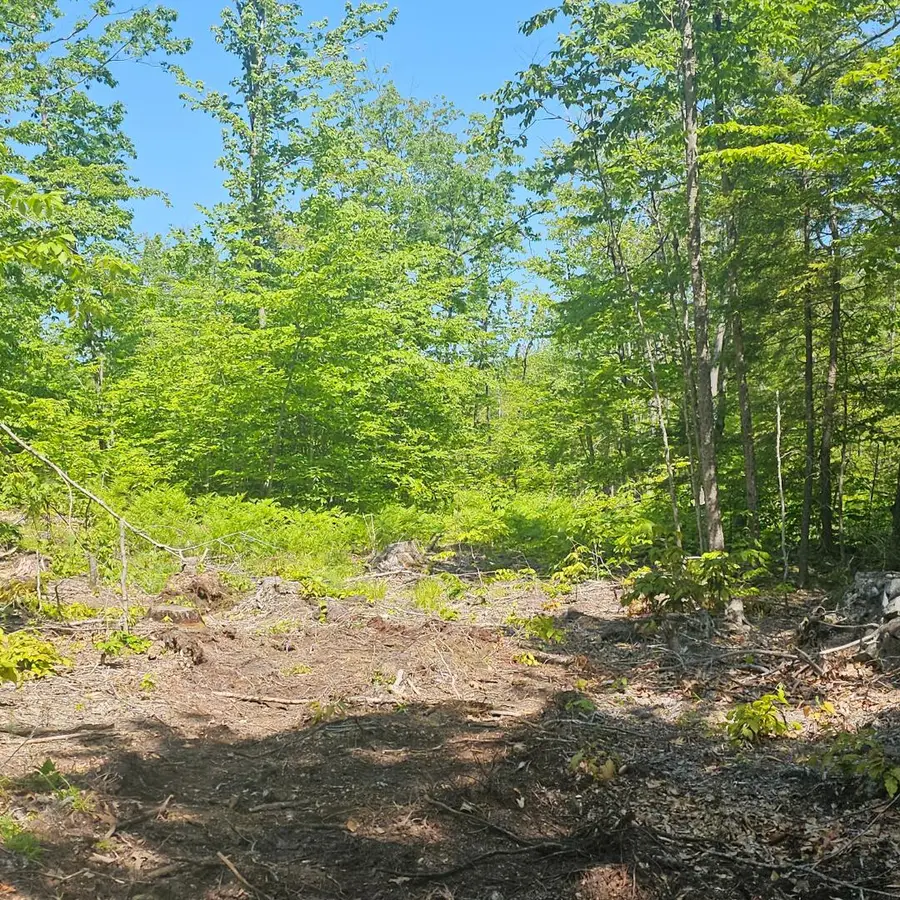 18A Isaac Stevens Road, Bridgton, ME 04009 - Image #3