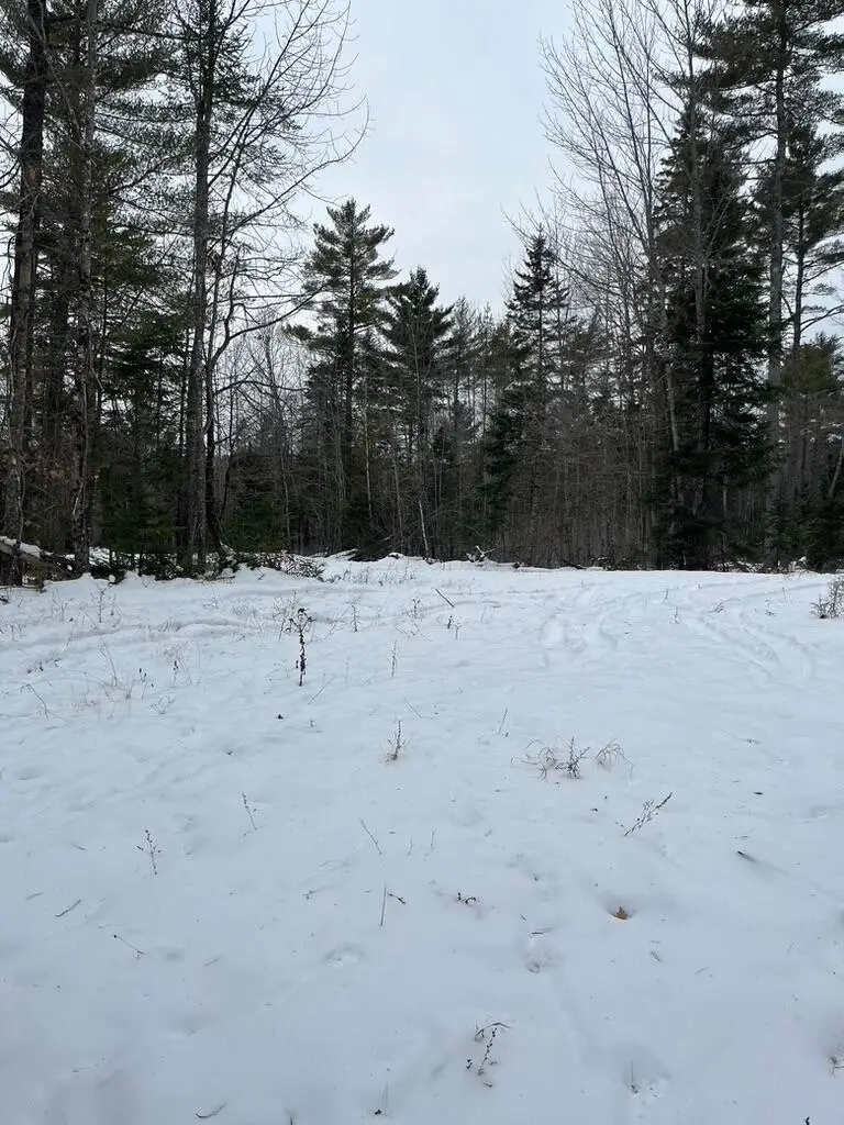 M4L3,5 Fickett Road, Etna, ME 04434 - Image #3