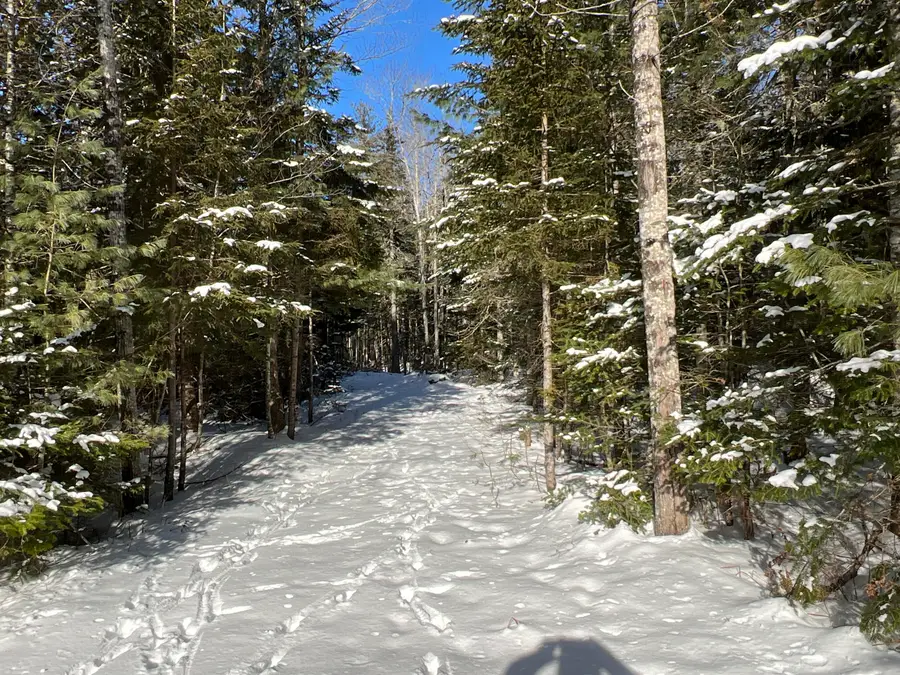 lot 21-10 Toddy Drive, Penobscot, ME 04476 - Image #3