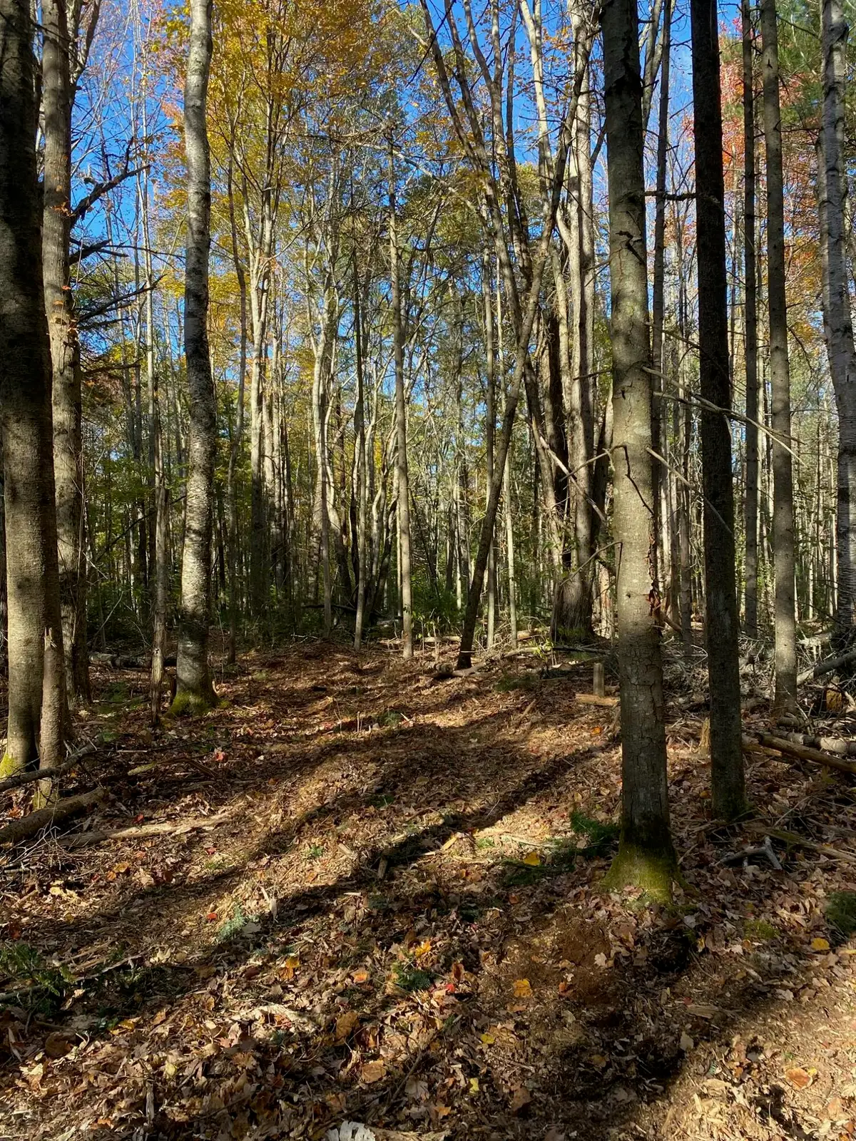 TBD Log Cabin Road, Kennebunkport, ME 04046 - Image #1