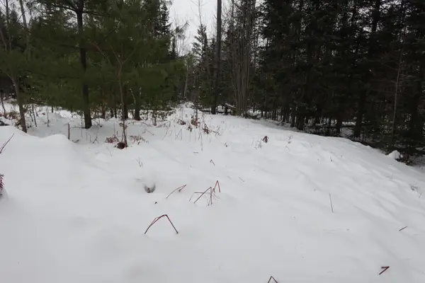 262 Bert Berry Road, Embden, ME 04958