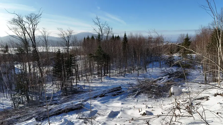 Lot 12 Blair Hill Road, Greenville, ME 04441 - Image #3