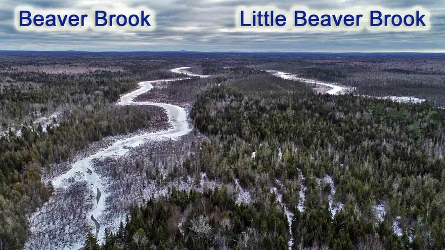 Lot 10A Fire Road, Linneus, ME 04730 - Image #3