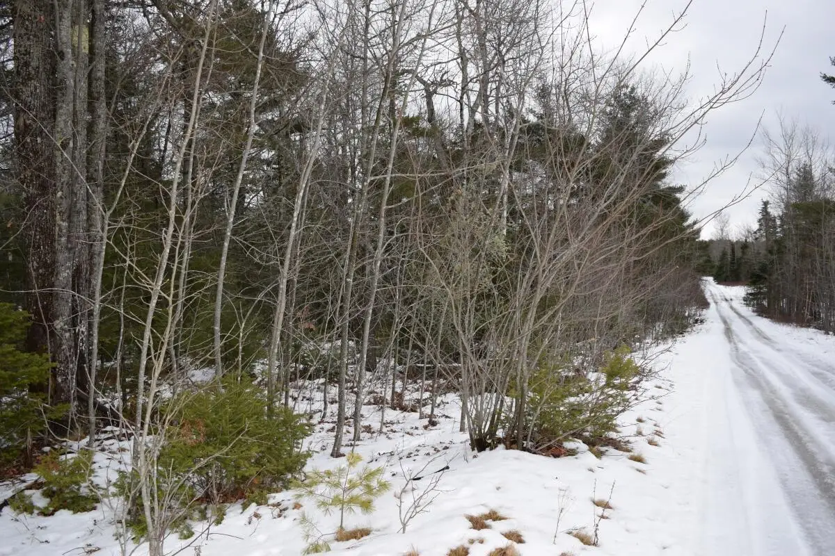 3-25 Granite Rock Circle, Surry, ME 04684 - Image #1