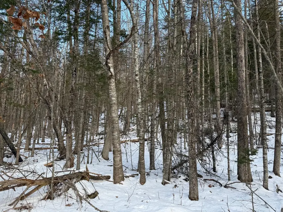 Map4Lot11 East Bucksport Road, Orrington, ME 04474 - Image #2