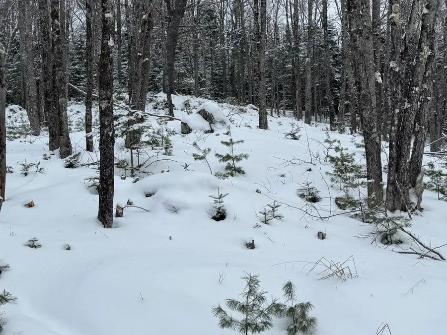 M29  L75 Ellsworth Road, Blue Hill, ME 04614 - Image #2