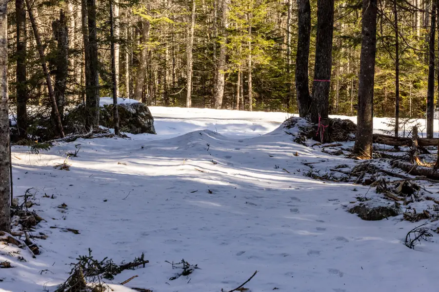 10-4M Forest Hill, Surry, ME 04684 - Image #2