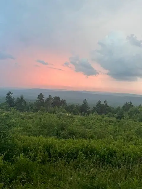 533 Mount Ephraim Map 4 Lot 63 Road, Searsport, ME 04974 - Image #3