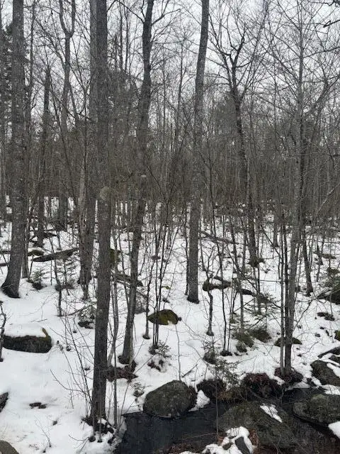 Map 109 Lot 16 Winkumpaugh Road, Ellsworth, ME 04605 - Image #3