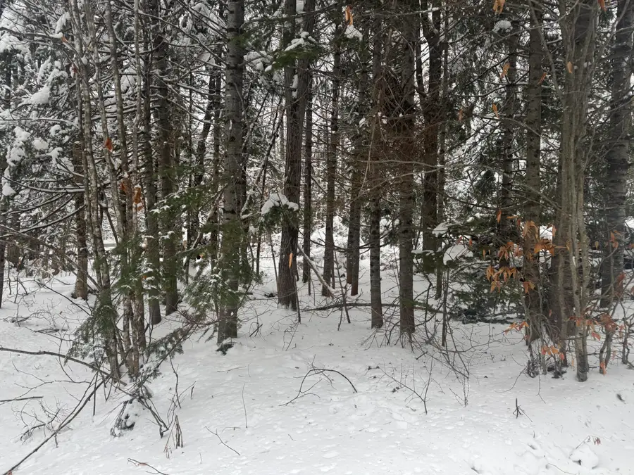 291 New Sweden Road, New Sweden, ME 04762 - Image #2