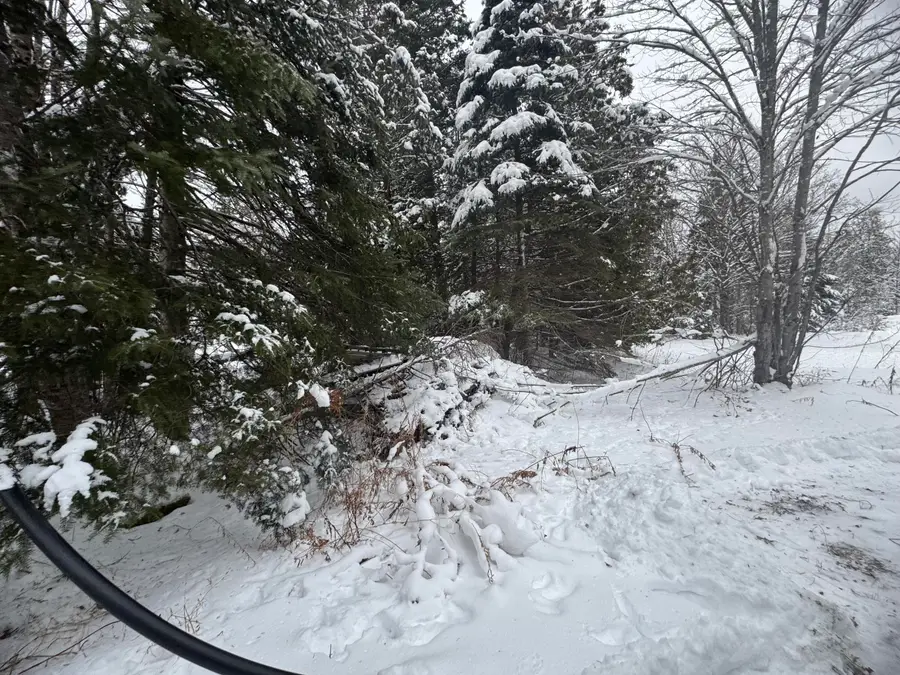 291 New Sweden Road, New Sweden, ME 04762 - Image #3