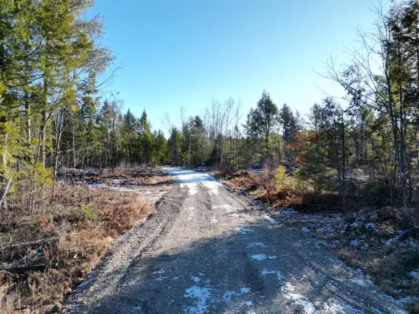 Lot 1 Mattamiscontis Road, Howland, ME 04448
