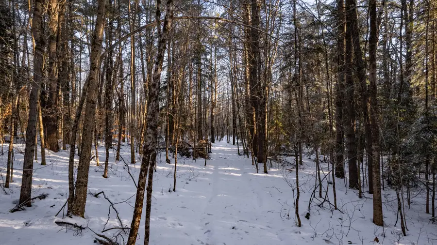 Lot 2 Church Hill Road, Leeds, ME 04263 - Image #3