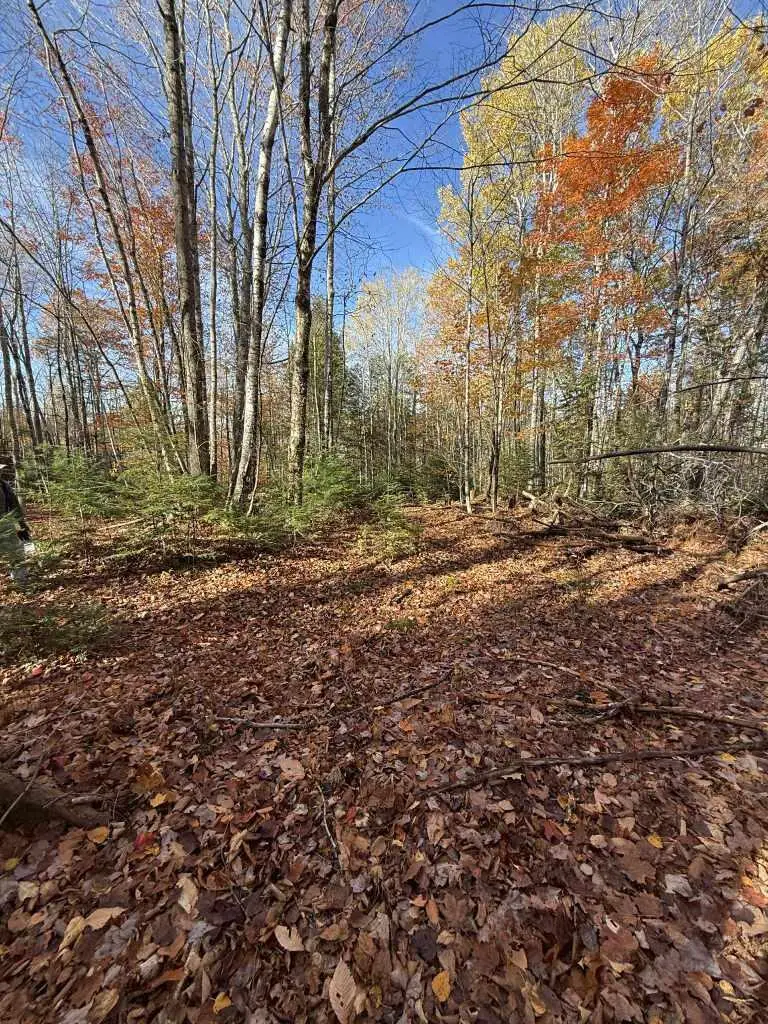 Lot 006 Ramsdell Road, Farmington, ME 04938 - Image #1