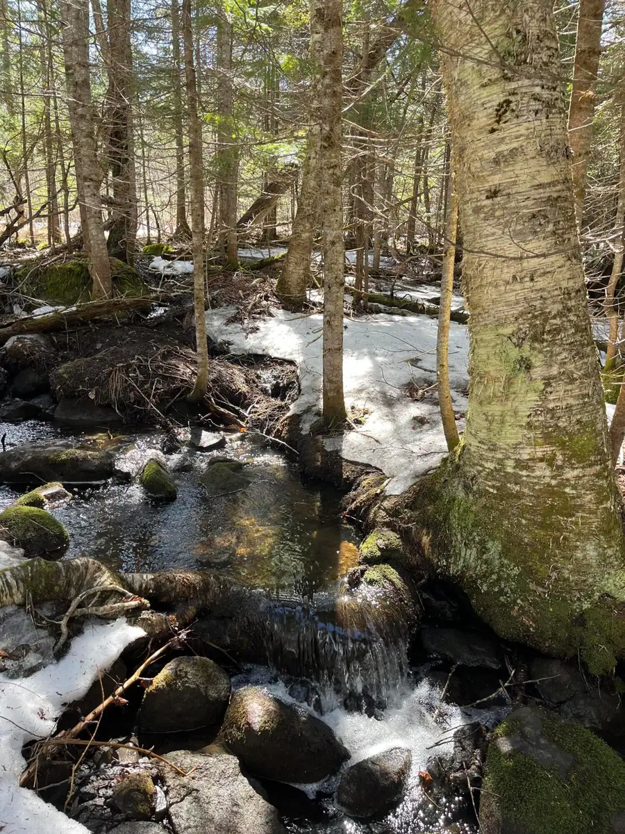 620 Dallas Hill Road, Dallas Plt, ME 04970 - Image #2